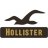 Hollister19